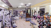 Albatros White Beach Resort - Posilovna