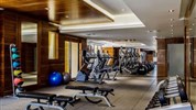 Hilton Dubai The Walk - (Interiér) - Posilovna