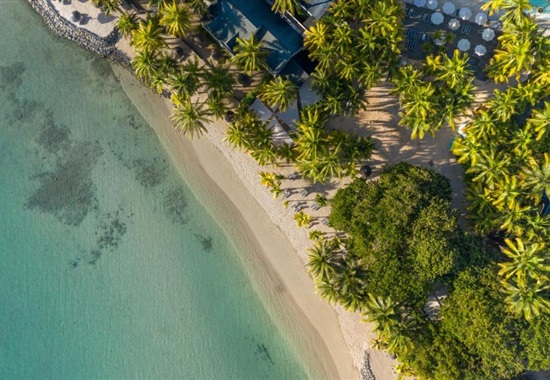 The Ravenala Attitude - Balaclava