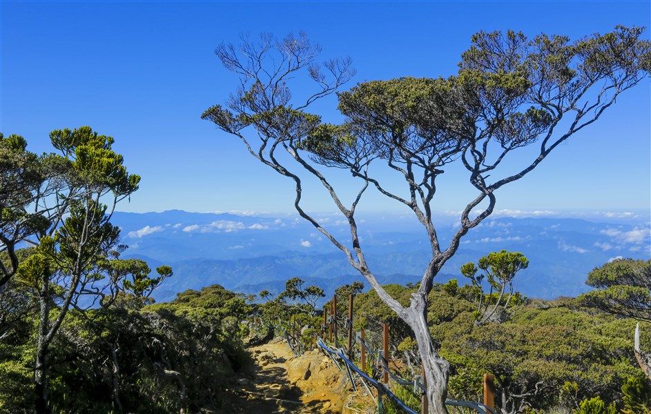 Sabah - Kota Kinabalu