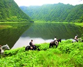 Réunion