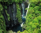 Réunion