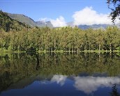 Réunion