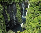 Réunion