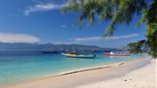 Bali s CZ průvodcem a ostrovy Gili