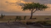 Národní park Tsavo s pobytem u moře