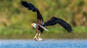 Národní park Tsavo s pobytem u moře