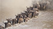 Kouzelná Maasai Mara s pobytem u moře