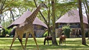 Velké safari - Lake Naivasha Sopa Lodge, Jezero Naivasha