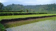 Na skok na Bali a Lombok