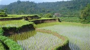 Na skok na Bali a Lombok