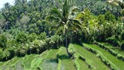 Na skok na Bali a Lombok