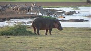 Safari s pobytem na Zanzibaru