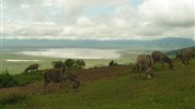 Safari s pobytem na Zanzibaru