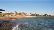 Sea Star Beau Rivage