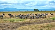 Pobyt na Zanzibaru s dvoudenním safari