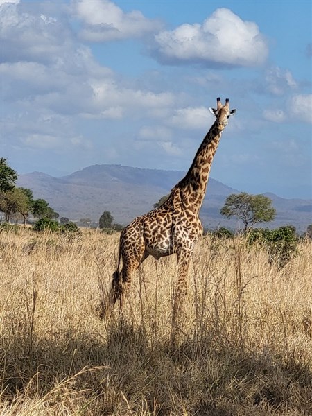 Pobyt na Zanzibaru s dvoudenním safari