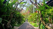 Candi Beach Resort - Zahrada